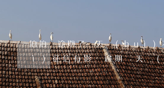 拍拍貸逾期了兩天會(huì)不會(huì)征信有影響，逾期兩天會(huì)否影響征信？——拍拍貸用戶關(guān)注的問(wèn)題